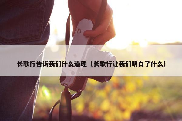 长歌行告诉我们什么道理（长歌行让我们明白了什么）