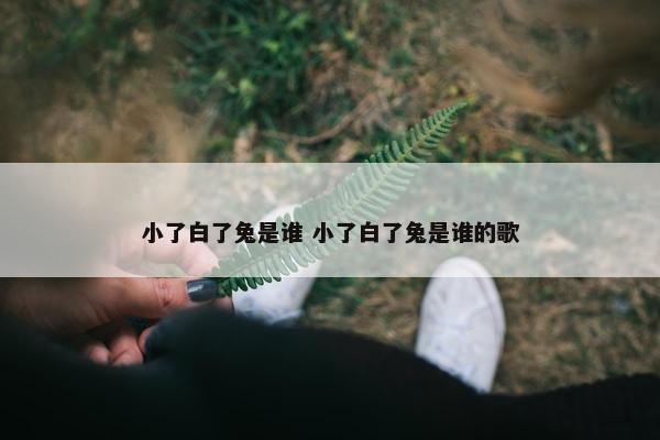 小了白了兔是谁 小了白了兔是谁的歌