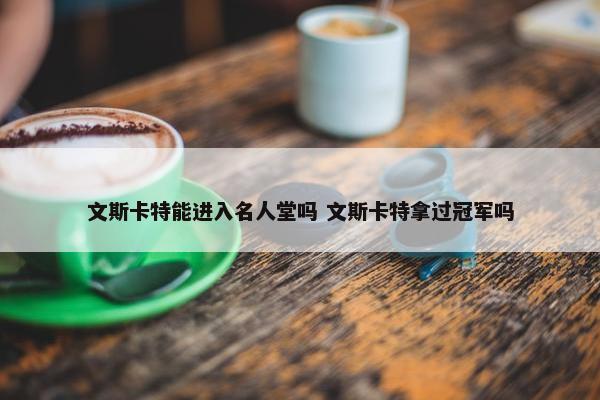 文斯卡特能进入名人堂吗 文斯卡特拿过冠军吗