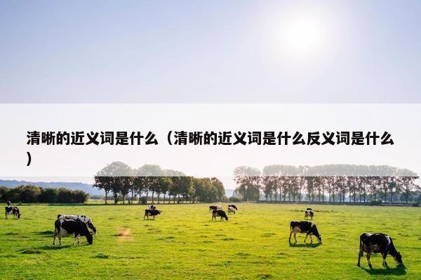 清晰的近义词是什么（清晰的近义词是什么反义词是什么）