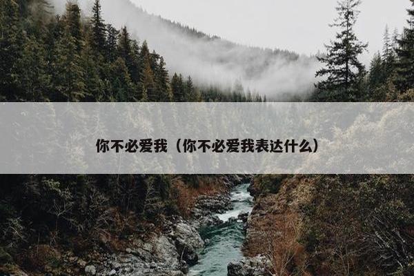 你不必爱我（你不必爱我表达什么）