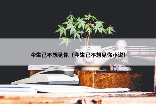 今生已不想见你（今生已不想见你小说）