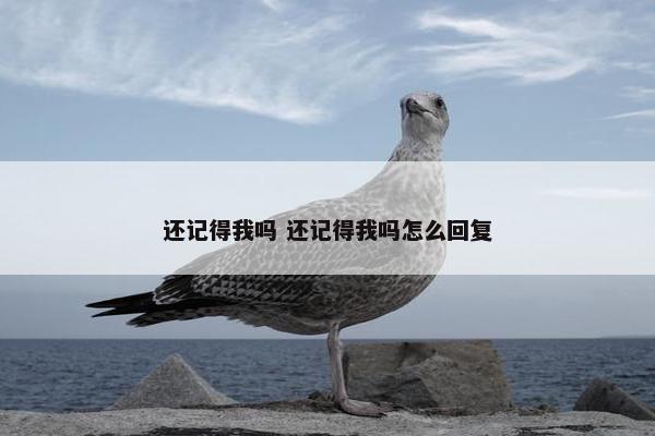 还记得我吗 还记得我吗怎么回复