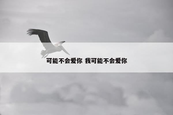 可能不会爱你 我可能不会爱你