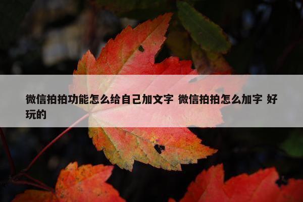 微信拍拍功能怎么给自己加文字 微信拍拍怎么加字 好玩的