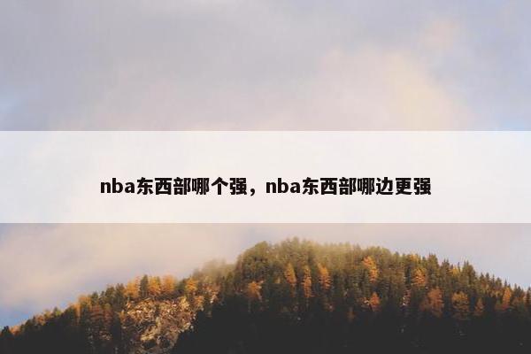 nba东西部哪个强，nba东西部哪边更强