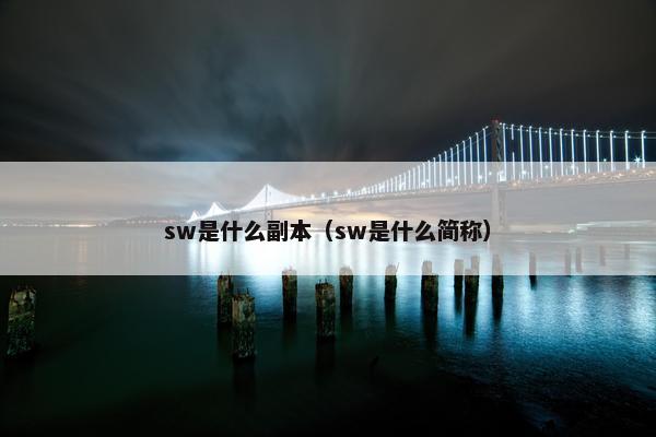 sw是什么副本（sw是什么简称）