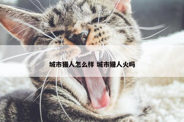 城市猎人怎么样 城市猎人火吗