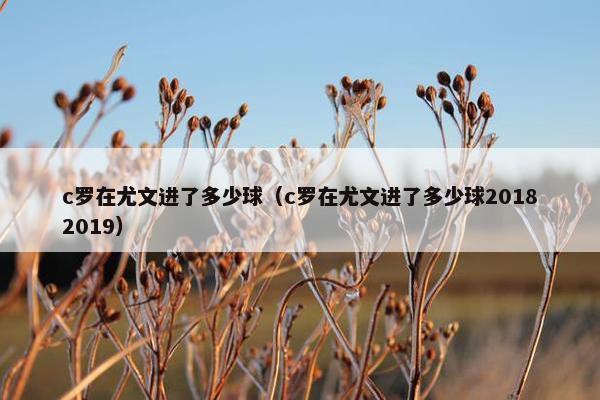 c罗在尤文进了多少球（c罗在尤文进了多少球20182019）