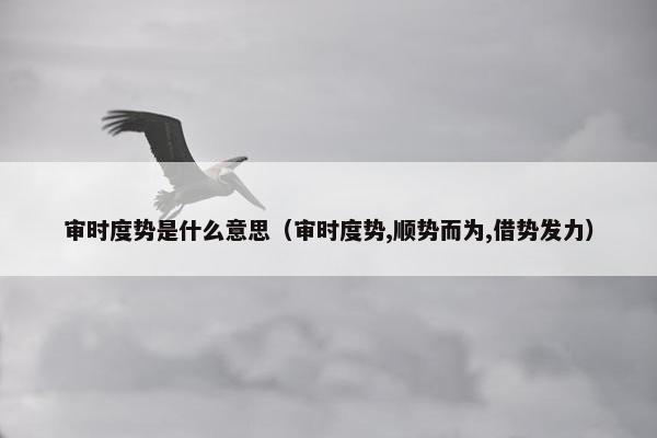 审时度势是什么意思（审时度势,顺势而为,借势发力）