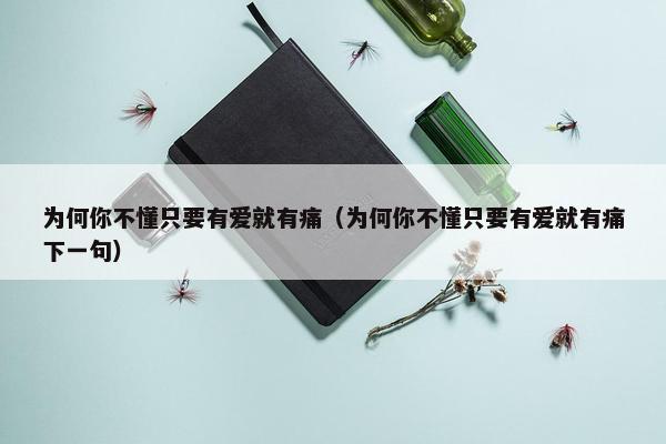 为何你不懂只要有爱就有痛（为何你不懂只要有爱就有痛下一句）