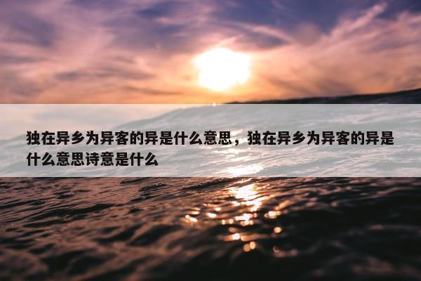 独在异乡为异客的异是什么意思，独在异乡为异客的异是什么意思诗意是什么