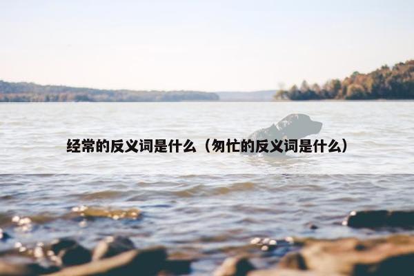 经常的反义词是什么（匆忙的反义词是什么）