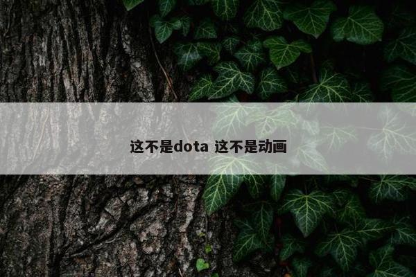 这不是dota 这不是动画