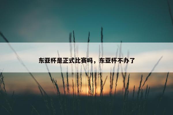 东亚杯是正式比赛吗，东亚杯不办了