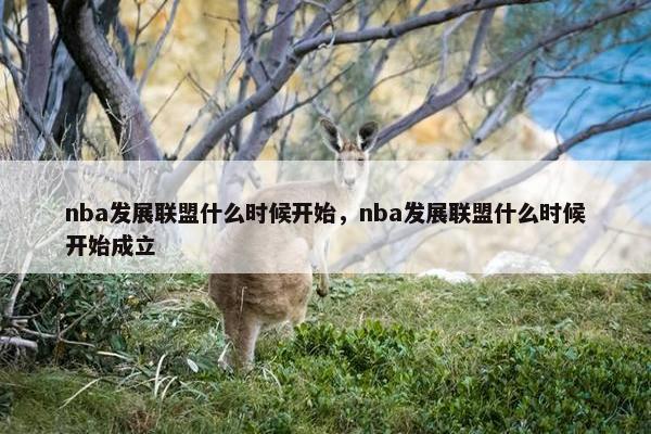 nba发展联盟什么时候开始，nba发展联盟什么时候开始成立