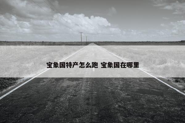 宝象国特产怎么跑 宝象国在哪里