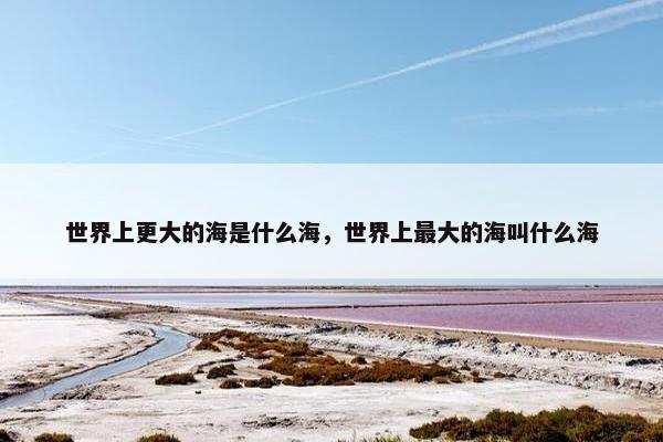 世界上更大的海是什么海，世界上最大的海叫什么海