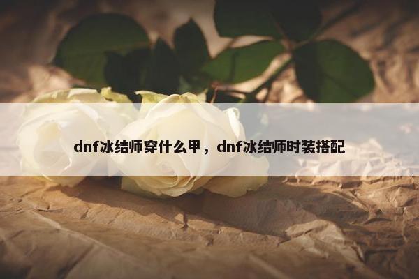 dnf冰结师穿什么甲，dnf冰结师时装搭配