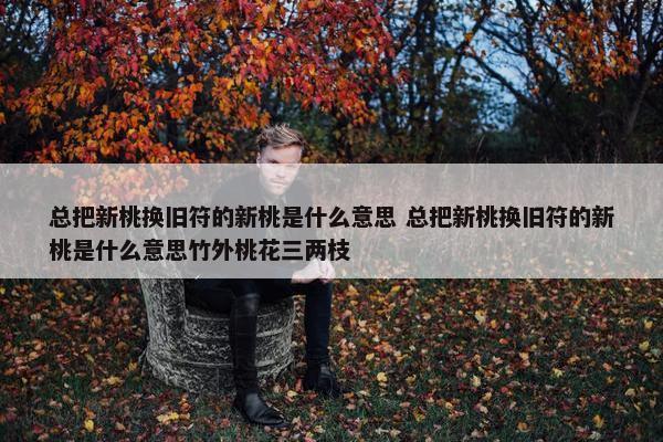 总把新桃换旧符的新桃是什么意思 总把新桃换旧符的新桃是什么意思竹外桃花三两枝