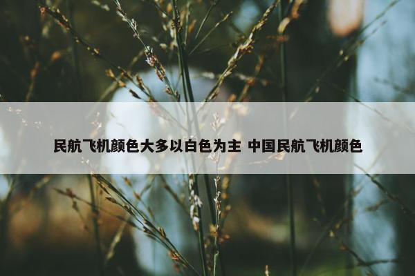 民航飞机颜色大多以白色为主 中国民航飞机颜色