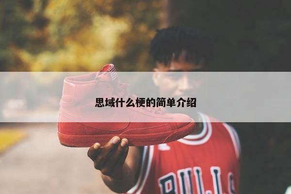 思域什么梗的简单介绍