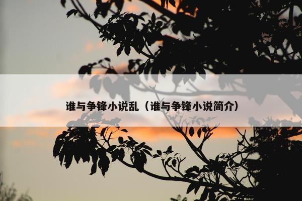 谁与争锋小说乱（谁与争锋小说简介）