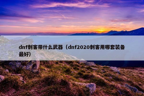 dnf刺客带什么武器（dnf2020刺客用哪套装备最好）