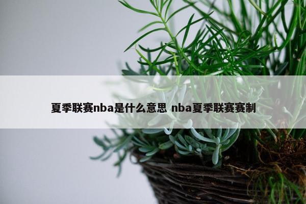 夏季联赛nba是什么意思 nba夏季联赛赛制