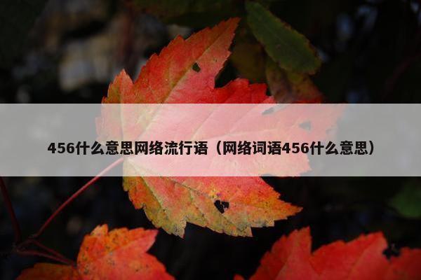 456什么意思网络流行语（网络词语456什么意思）