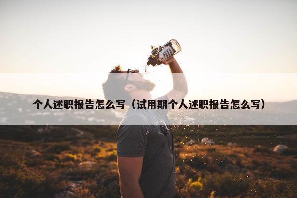 个人述职报告怎么写（试用期个人述职报告怎么写）