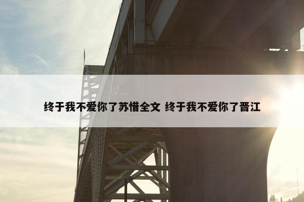 终于我不爱你了苏惜全文 终于我不爱你了晋江