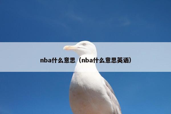 nba什么意思（nba什么意思英语）