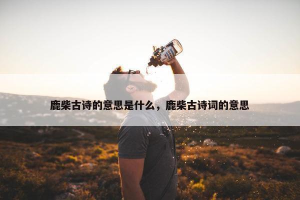 鹿柴古诗的意思是什么，鹿柴古诗词的意思