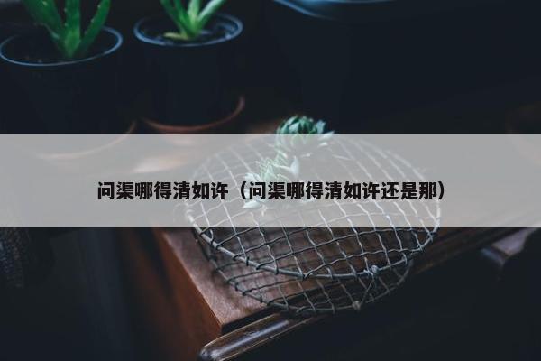 问渠哪得清如许（问渠哪得清如许还是那）