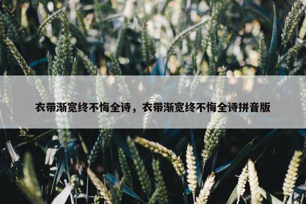 衣带渐宽终不悔全诗，衣带渐宽终不悔全诗拼音版