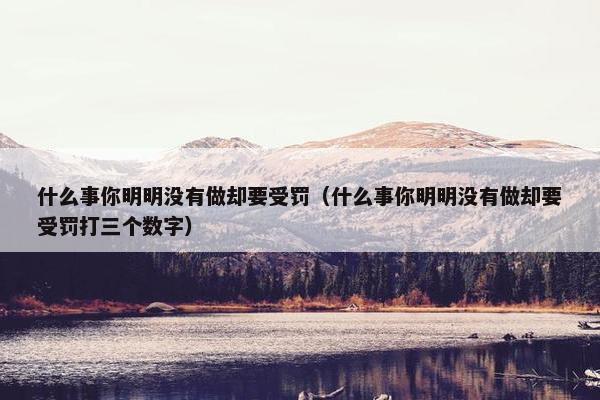 什么事你明明没有做却要受罚（什么事你明明没有做却要受罚打三个数字）