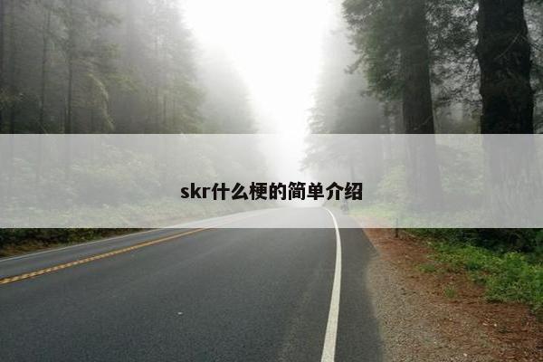 skr什么梗的简单介绍