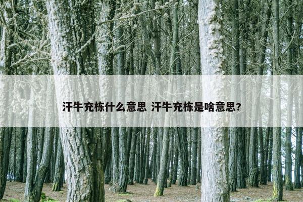 汗牛充栋什么意思 汗牛充栋是啥意思?