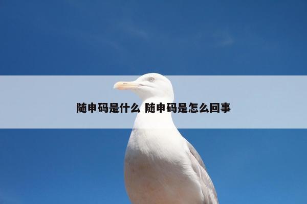 随申码是什么 随申码是怎么回事