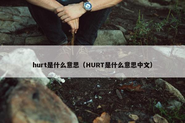 hurt是什么意思（HURT是什么意思中文）