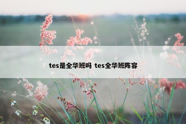 tes是全华班吗 tes全华班阵容