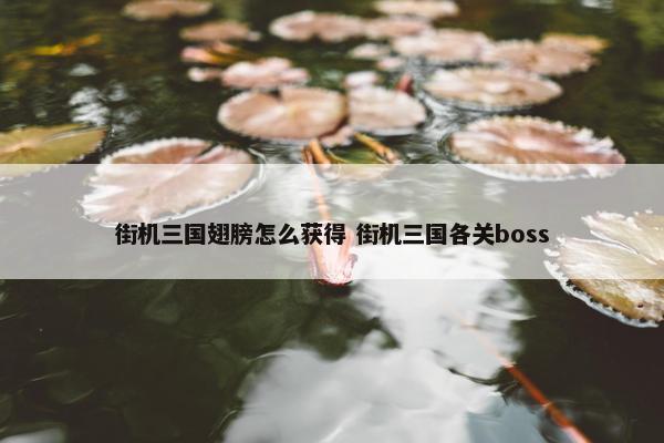 街机三国翅膀怎么获得 街机三国各关boss