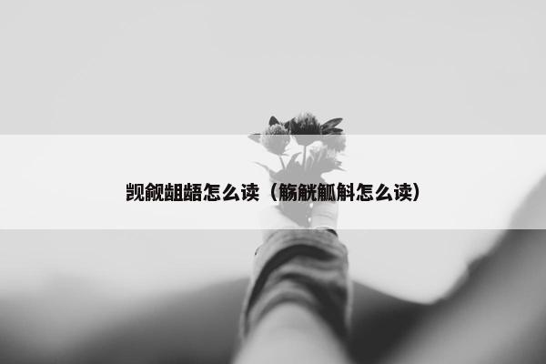 觊觎龃龉怎么读（觞觥觚斛怎么读）