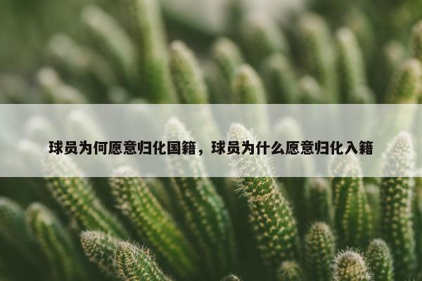 球员为何愿意归化国籍，球员为什么愿意归化入籍