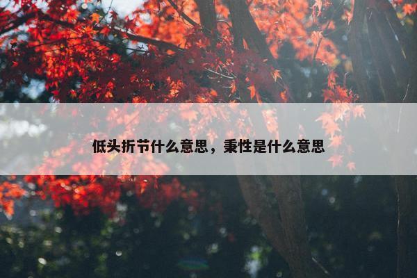 低头折节什么意思，秉性是什么意思