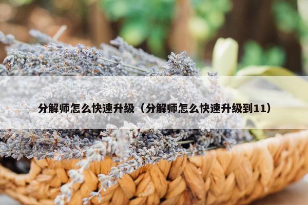 分解师怎么快速升级（分解师怎么快速升级到11）