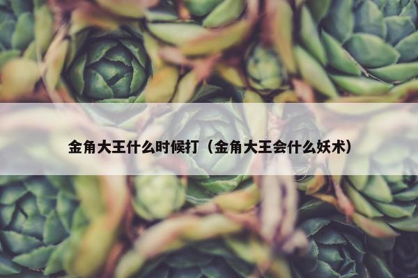 金角大王什么时候打（金角大王会什么妖术）