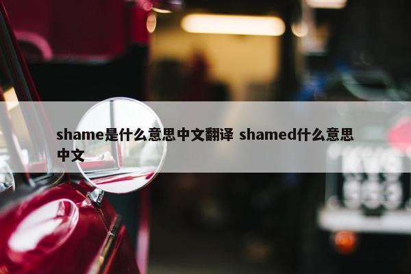 shame是什么意思中文翻译 shamed什么意思中文