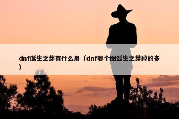 dnf诞生之芽有什么用（dnf哪个图诞生之芽掉的多）